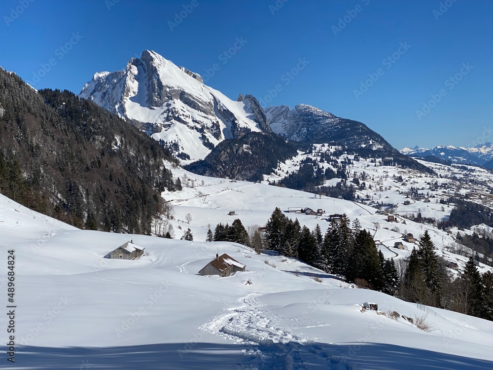 Fototapeta premium White blanket on alpine peak Wildhuser Schofberg (or Wildhuser Schafberg, 2373 m) in Alpstein mountain range and in Appenzell Alps massif, Alt St. Johann - Canton of St. Gallen, Switzerland (Schweiz)