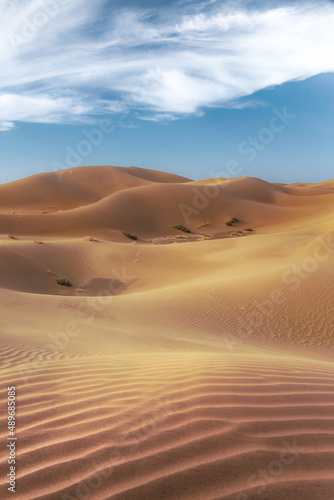 Saudi golden sands