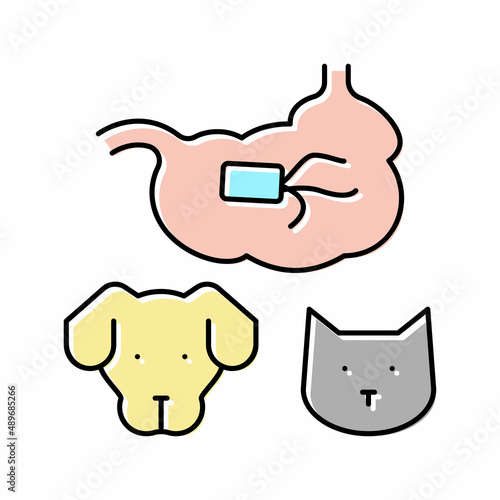 salmonellosis dog and cat color icon vector illustration