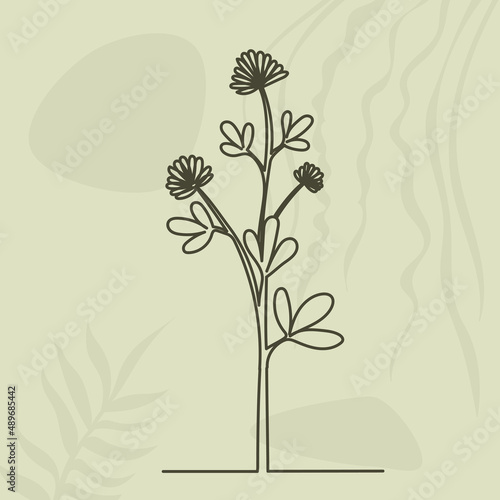 flower drawing in one continuous line  on an abstract background isolated