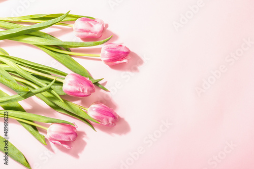 Fototapeta Naklejka Na Ścianę i Meble -  Fresh flower composition, a bouquet of pink tulips, isolated on a rose background