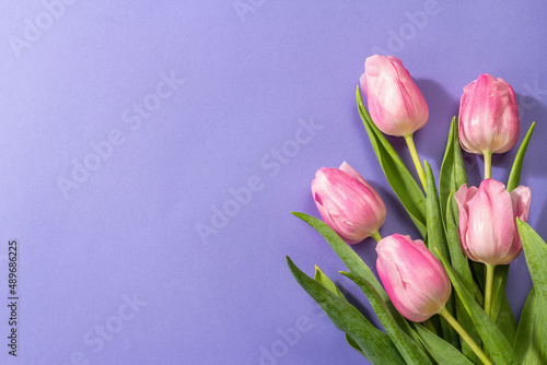 Fototapeta Naklejka Na Ścianę i Meble -  Fresh flower composition, a bouquet of pink tulips, isolated on a trendy very peri color background