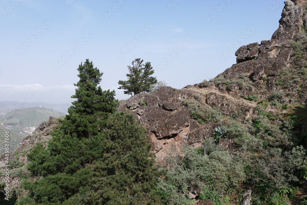 Kiefern, Felsen und Wanderweg bei Vega de San Mateo auf Gran Canaria Kiefern, Felsen und Wanderweg bei Vega de San Mateo auf Gran Canaria