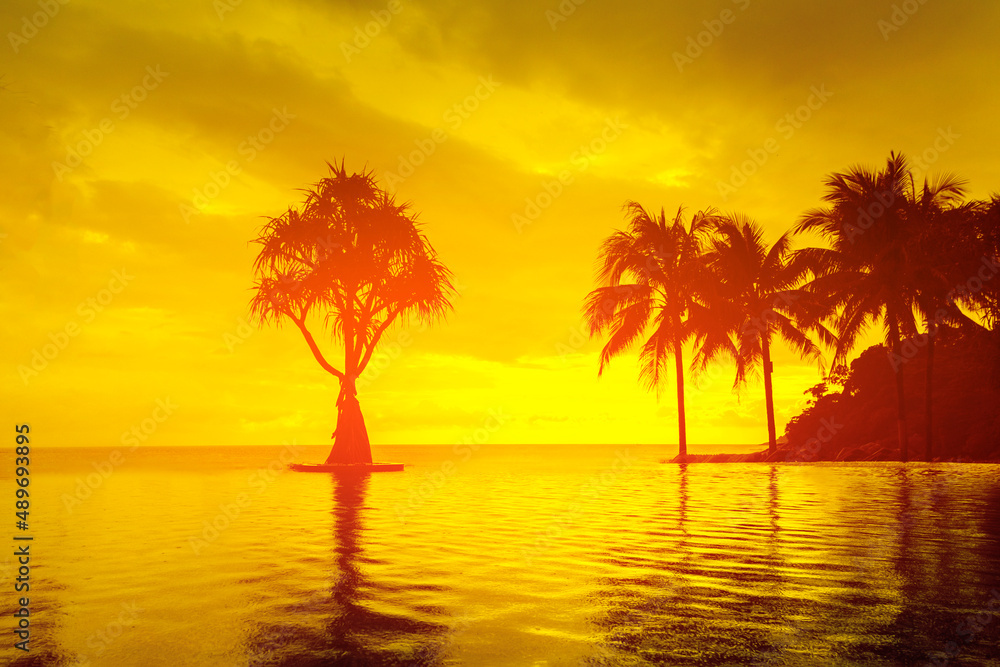 black silhouettes of palm trees, a magical beautiful yellow tropical sunset, a riot of colors and relaxation by the sea. Reflection of the sky in seawater