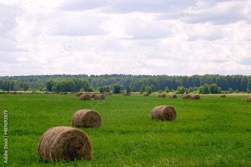 Green field with round bales of straw against the summer sky.