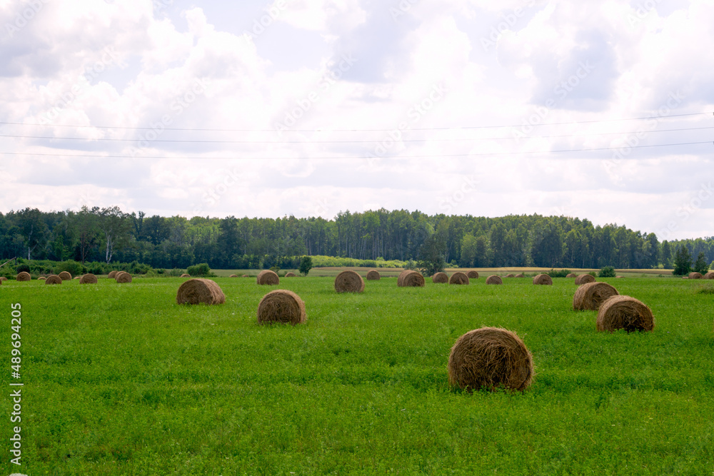 Green field with round bales of straw against the summer sky.