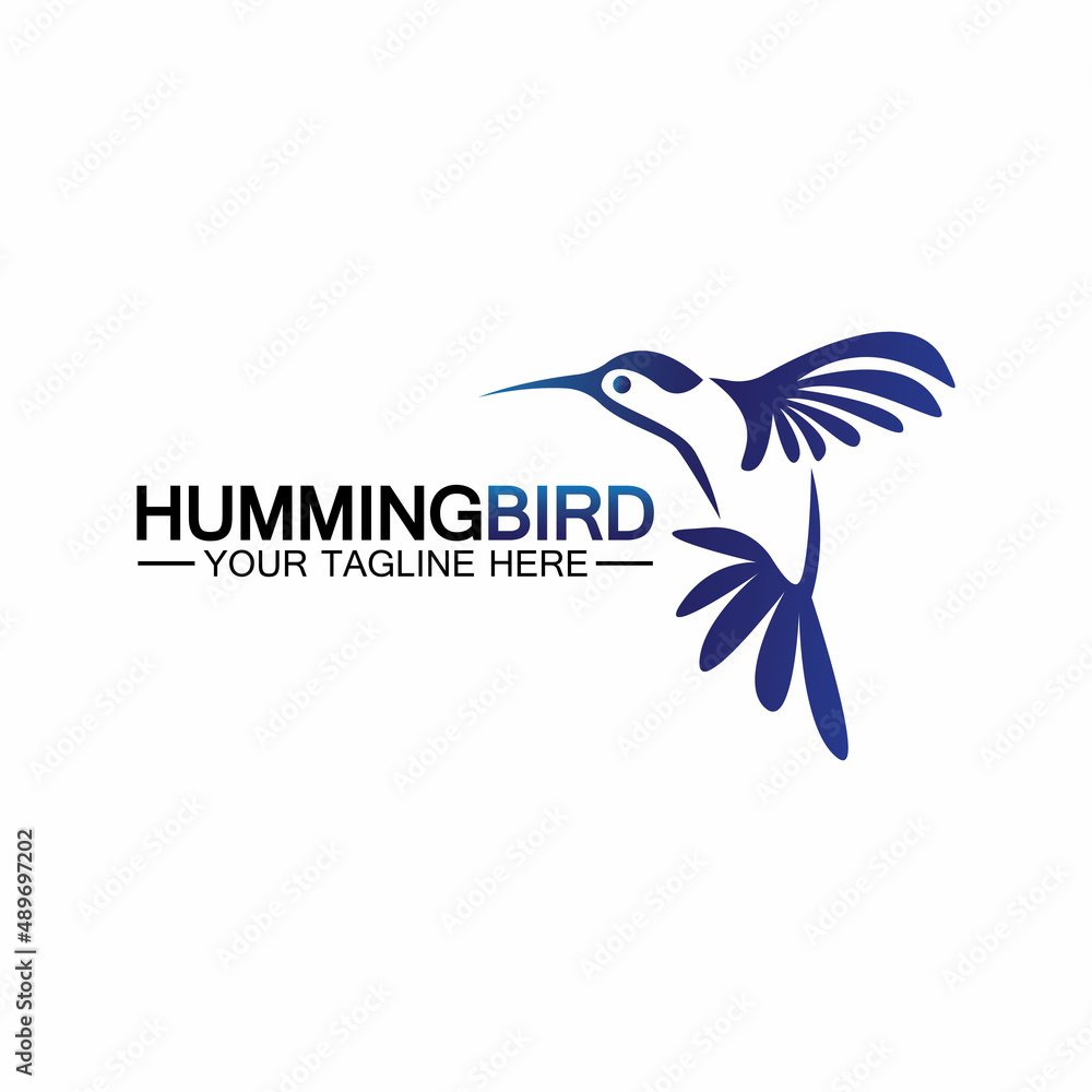 Obraz premium Hummingbird logo design vector template
