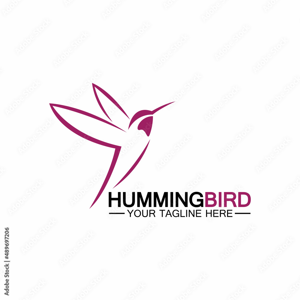 Hummingbird logo design vector template Hummingbird logo design vector template