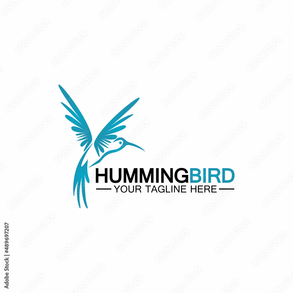 Hummingbird logo design vector template Hummingbird logo design vector template