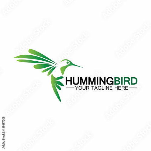 Hummingbird logo design vector template