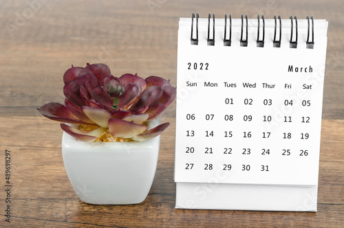 March 2022 desk calendar with plant pot on wooden table. photo