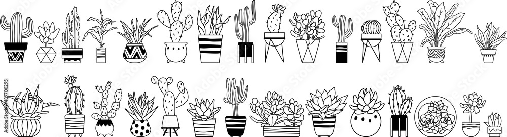 Cacti and succulents. Home plants hand drawn vector. Cacti and succulents. Home plants hand drawn vector.