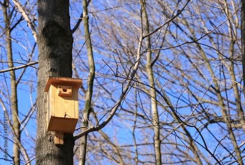Canvas birdhouse on tree