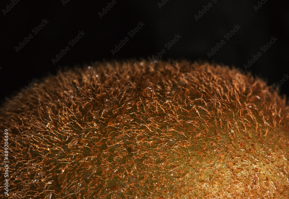 Brown hairy kiwi skin. Macro or closeup photo of a piece of kiwi on a black background. Detail photo of hairy skin. Brown hairy kiwi skin. Macro or closeup photo of a piece of kiwi on a black background. Detail photo of hairy skin.