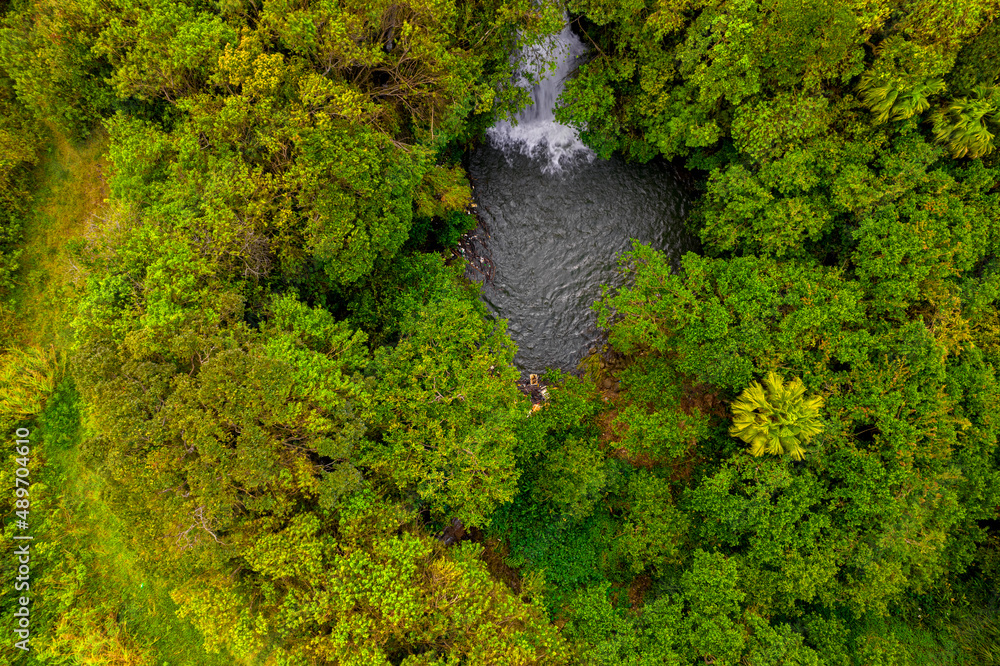 Aerial view of a hidden waterfall found in a forest located in Mauritius