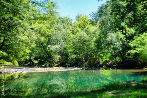 lake in the forest