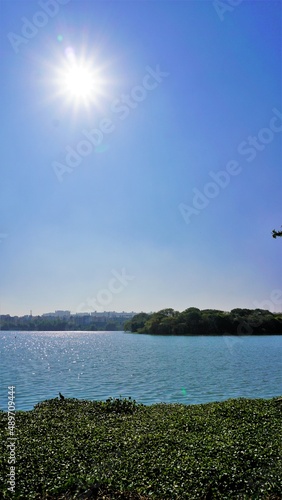 Landscape of Beautiful BTM or Madiwala lake. Mobile wallpaper photo