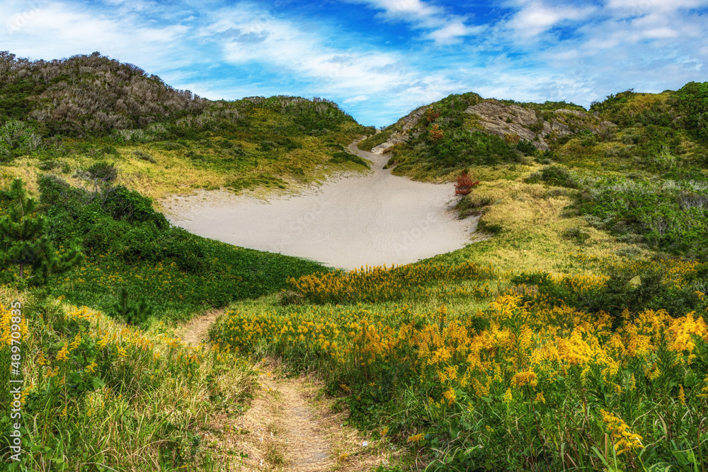 Obraz premium 【千葉県】館山砂丘