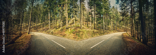 Canvas Print Asphalt road through the forest splits in two different directions, left and right courses