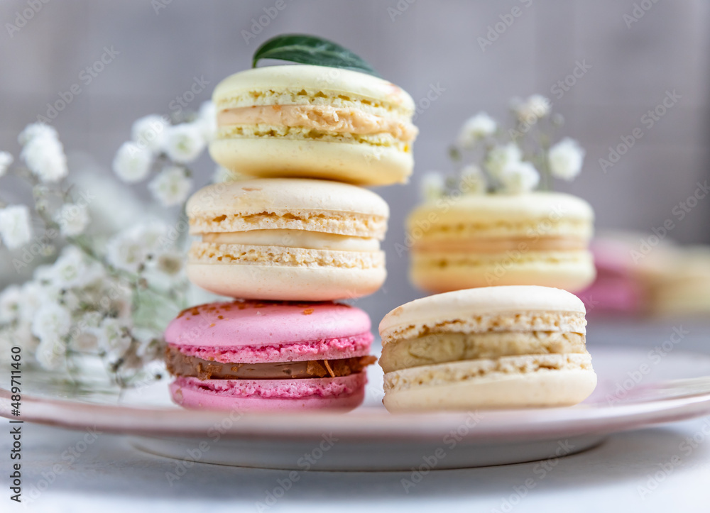 Macaron or macaroon with gypsophila flowers on grey concrete background. Pastel colors french dessert with flowers.