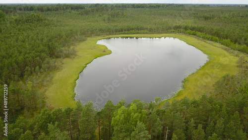 Landscape with forest lake