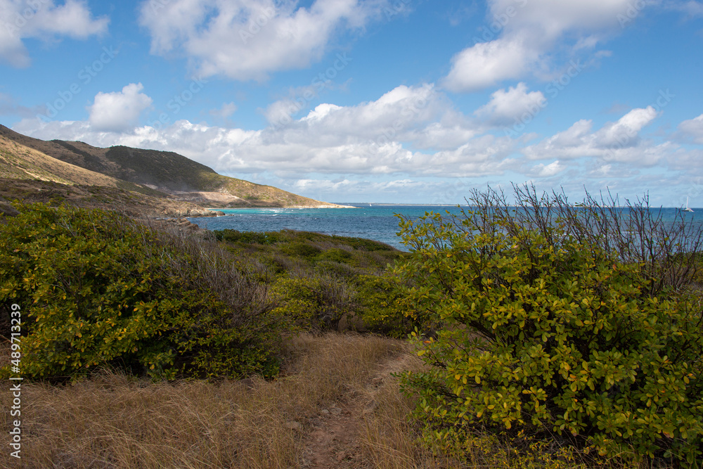 Ilet Pinel, Réserve naturelle de Saint Martin, Ile de Saint Martin, Petites Antilles