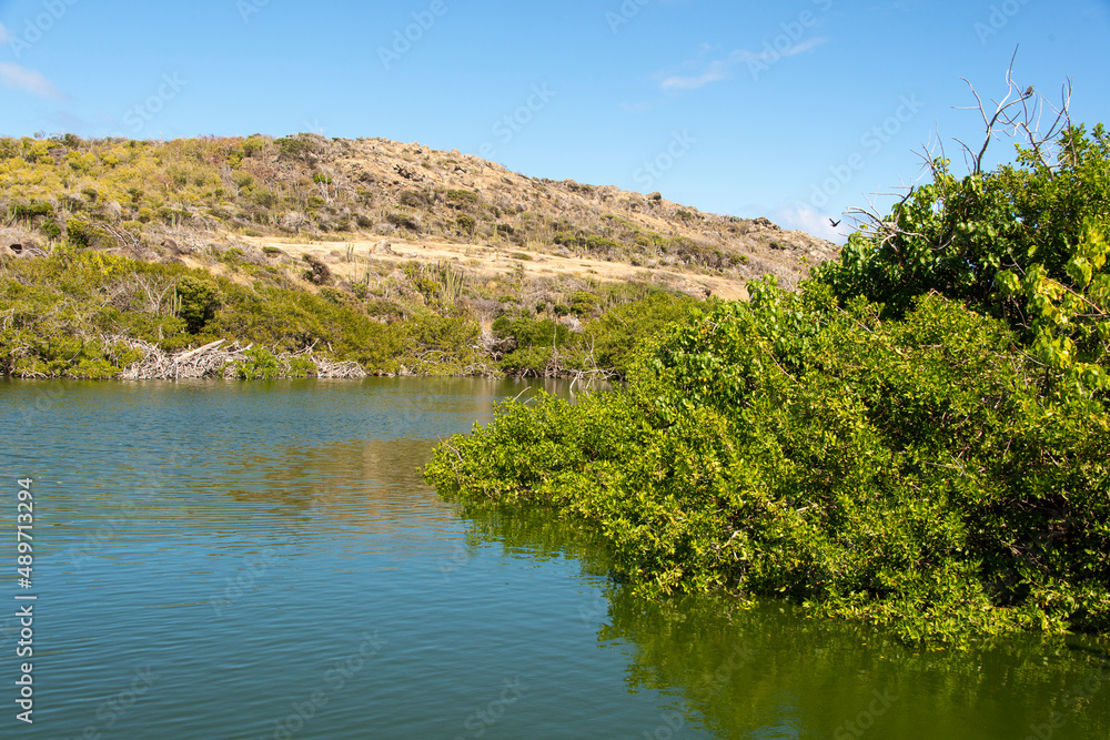 Etang de la Baie Lucas,, Réserve naturelle de Saint Martin, Ile de Saint Martin, Petites Antilles