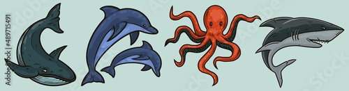 A set of vintage illustrations of marine animals drawn solated. Sea life