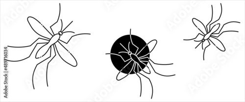 Mosquito Icon Y_2108002