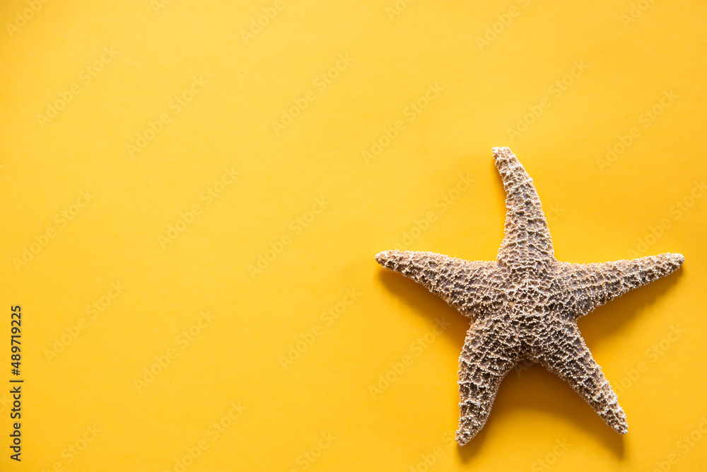 Starfish on a yellow background, announcing the arrival of summer, free design with empty space for advertising. Starfish on a yellow background, announcing the arrival of summer, free design with empty space for advertising.