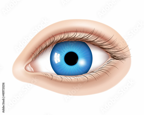 Vector 3d realistic human eye without makeup. Glossy blue iris with a macro details. Facial element on a skin background. Useful for design of laser vision correction and also make up, cosmetics.