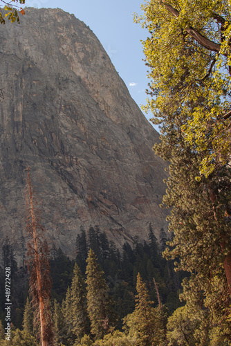 Autumnal natural landscape from Yosemite National Park  California  United States