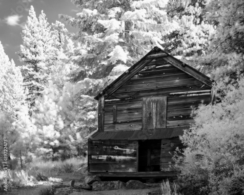 Black and white infrared of historic wooden building in a western forest © J-B-C