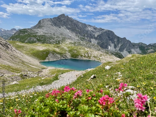 Emerald-green Butzensee in Arlberg region, close to Lech, with blooming red alpine roses.