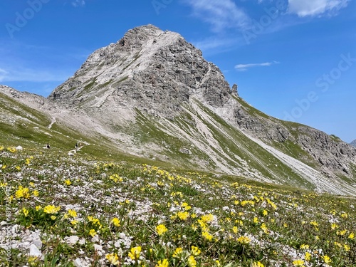 Mohnenfluh peak with yellow wildflowers in Arlberg region, close to Lech. Vorarlberg, Austria.