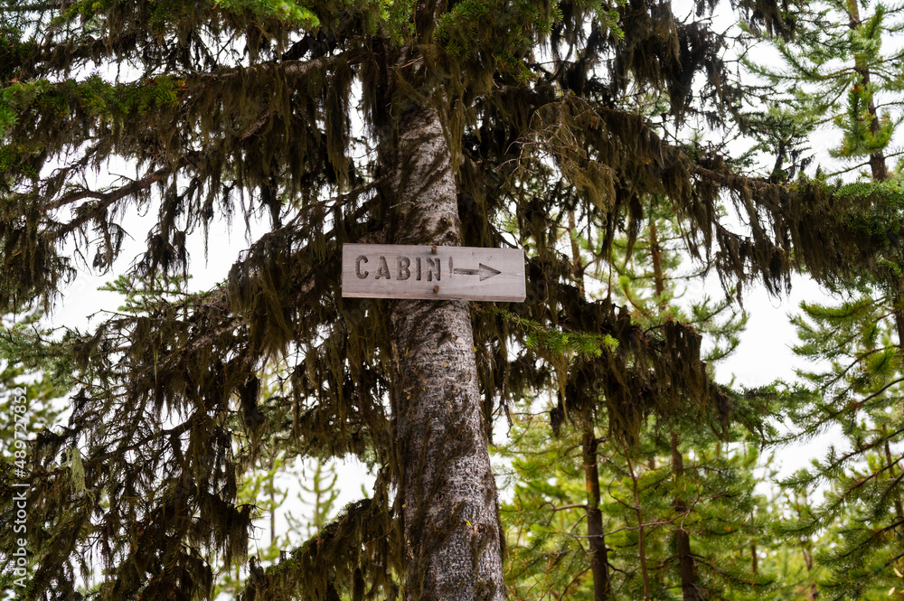 Cabin this way sign in the national forest