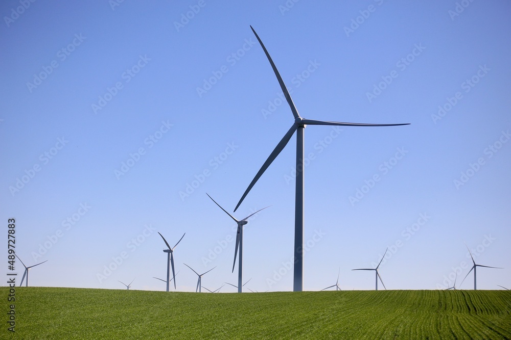 A wind farm power station A wind farm power station