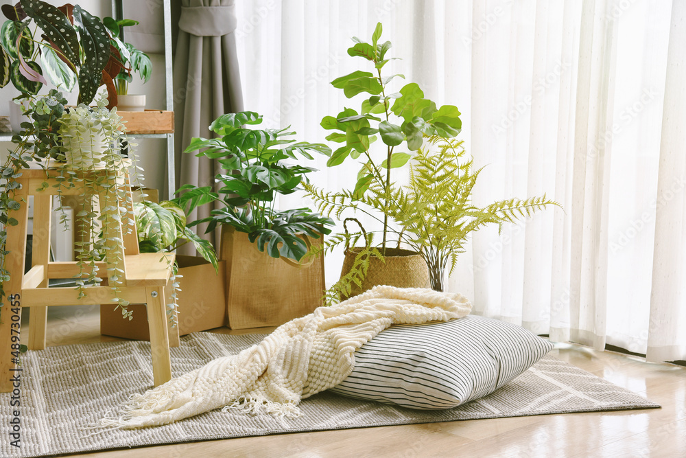 A Comfy Couch With Pillows Surrounded By Houseplants Stock Photo