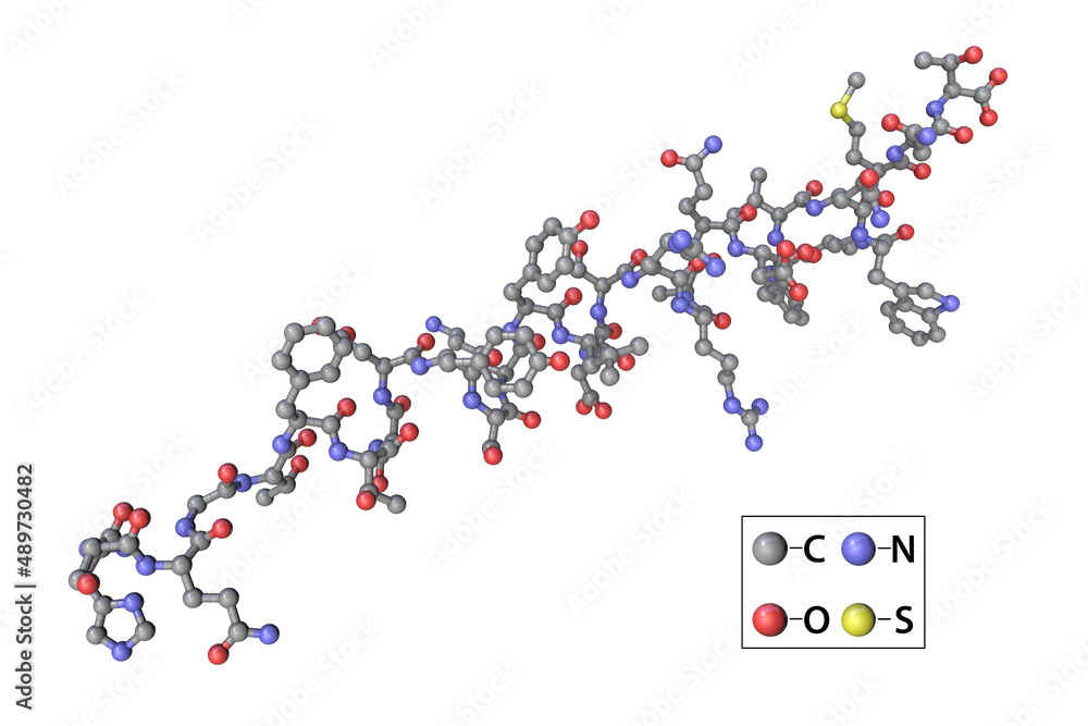 Molecule of the human hormone glucagon Molecule of the human hormone glucagon