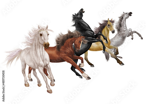 cheval  animal  isol    illustration  vecteur  noir    brun  blanc  beige  gris  mouvement    talon  blanc  noir  ferme  troupeau  mammif  re  course  poney  silhouette  amoureux des chevaux  sauvage  na
