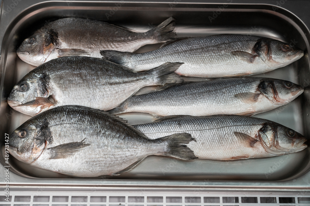 Obraz premium Fresh raw dorado and sea bass fish in the supermarket