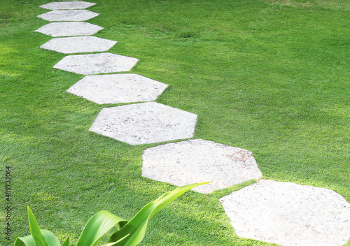 Canvas Print stone path on the lawn in the garden on a Sunny day