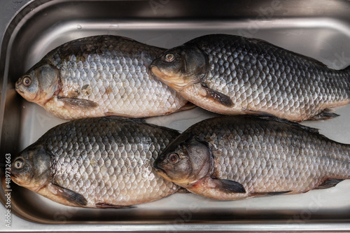 Fresh raw carp fish in the ...