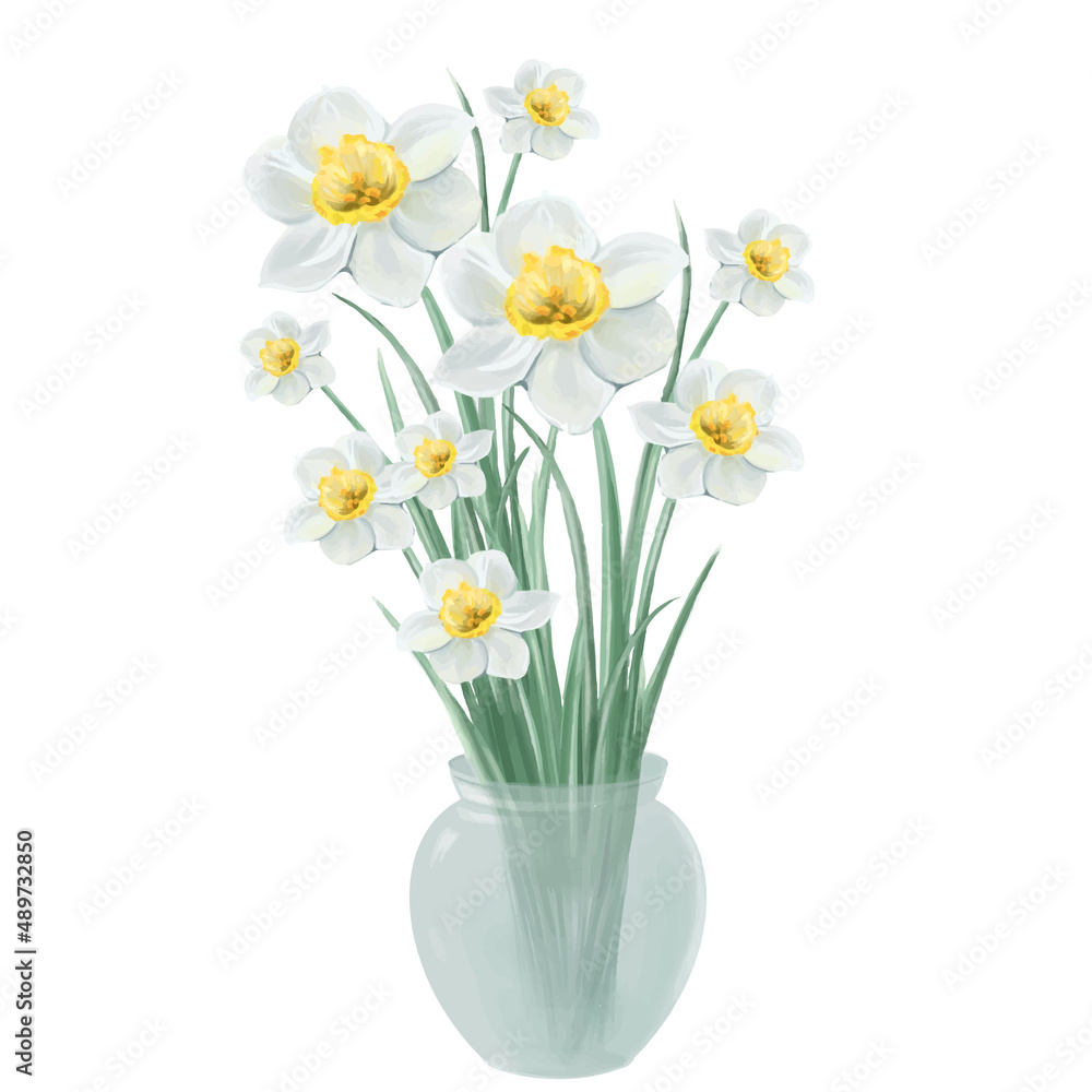 blooming bouquet of white daffodil flowers in a vase vector illustration