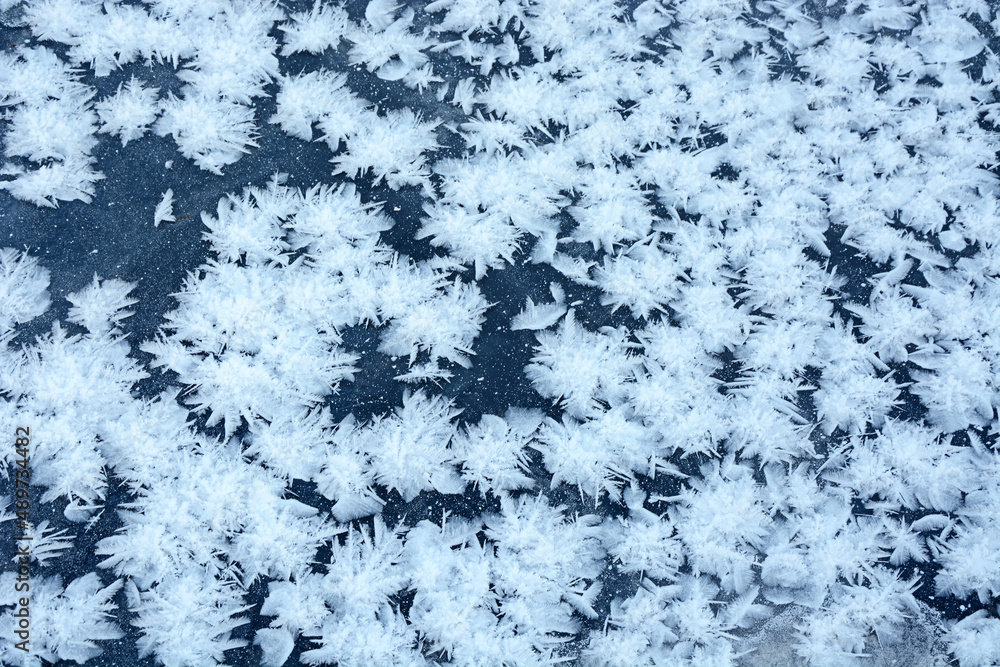 Fototapeta premium Beautiful effect - snow stars on ice. A pattern that forms only in severe, winter frost