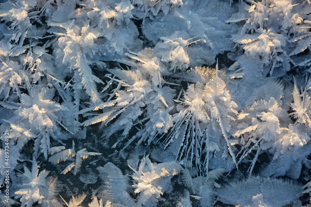 Beautiful effect - snow stars on ice. A pattern that forms only in severe, winter frost