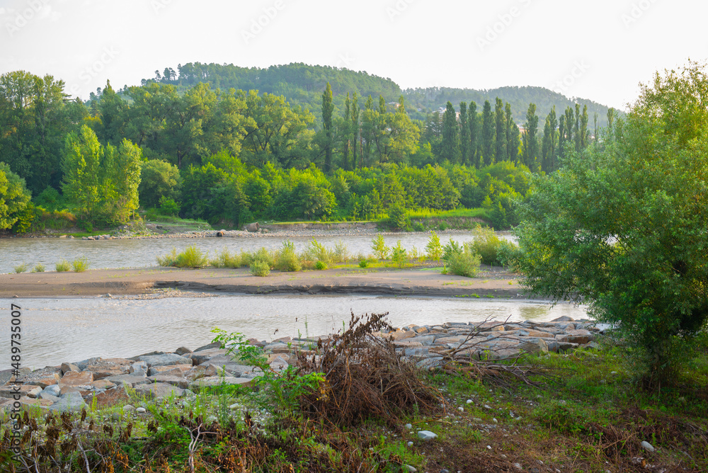 Fototapeta premium very beautiful river with forest in georgia