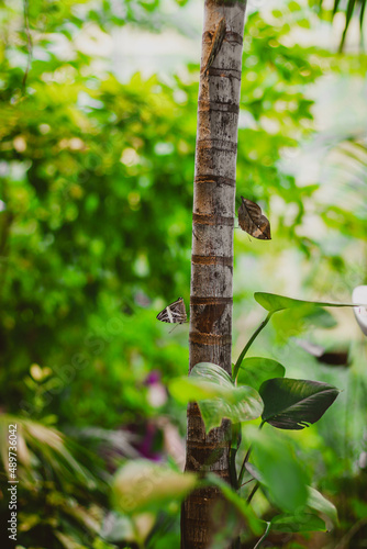 bird on a tree