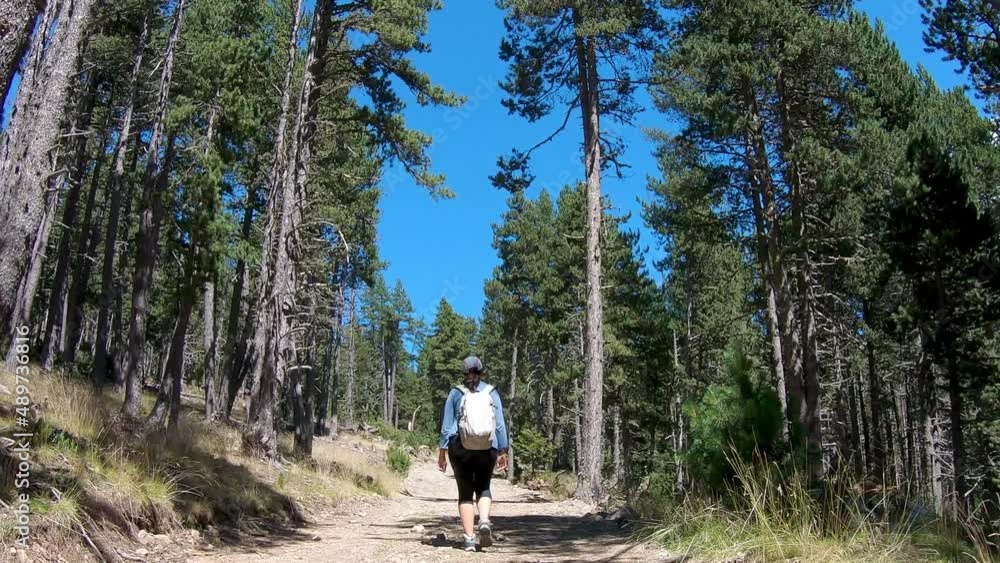 Young hispanic woman walking on the road in the pine forest, Pyrenees mountain, Catalonia of Spain Young hispanic woman walking on the road in the pine forest, Pyrenees mountain, Catalonia of Spain