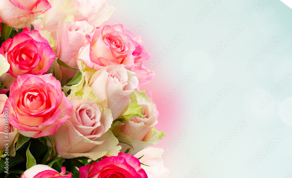 fresh rose flowers fresh rose flowers